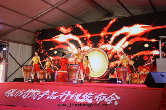 中(zhōng)電(diàn)凱源参加老(lǎo)河(hé)口(kǒu)市(shì)保信(xìn)首府開(kāi)盘儀式(图(tú)5)