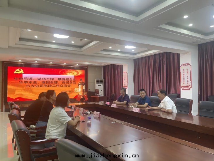 中(zhōng)電(diàn)凱源聯合五(wǔ)大(dà)公(gōng)司黨支部(bù)開(kāi)展(zhǎn)黨日活動(dòng)(图(tú)1) 2.jpg